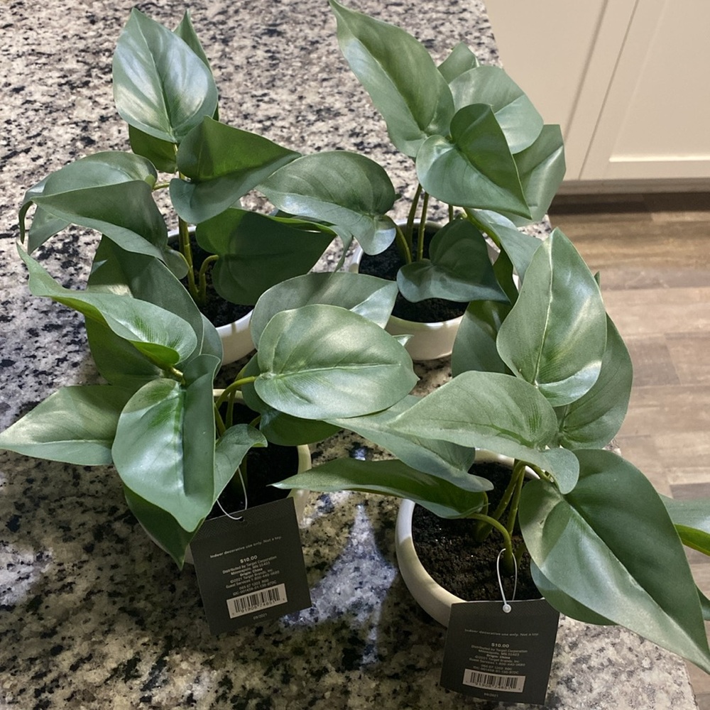 Bundle of 4 Threshold Faux Green Leaf Plants